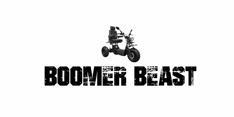 Daymak Boomer Beast – Part 1: Research & Purchase