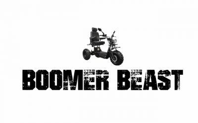 Daymak Boomer Beast – Part 1: Research & Purchase